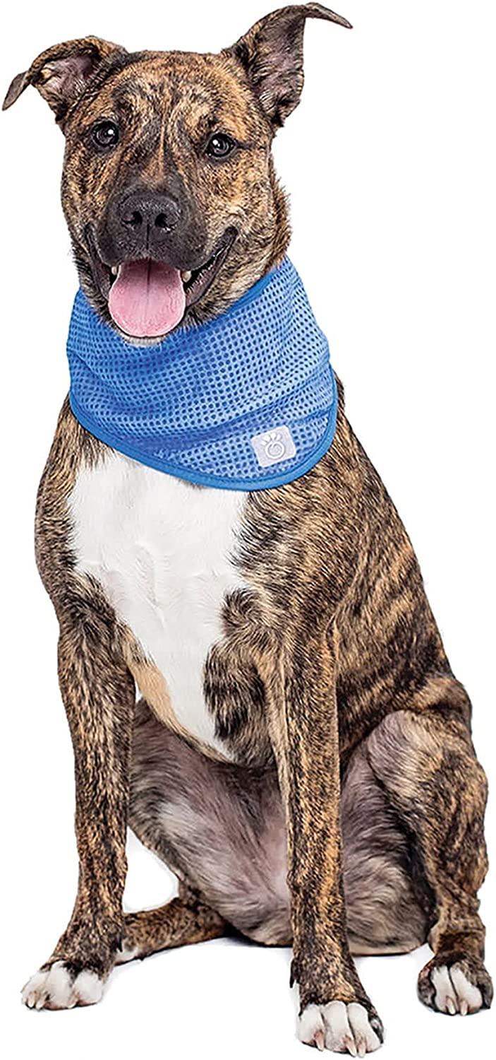 GF Pet Ice BAND Dog Cooling Bandana Xs