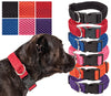 Breathable Adjustable Mesh Dog Collar