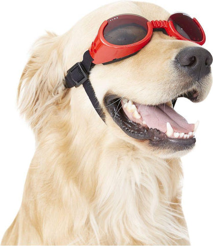 Doggles fashion ils sunglasses