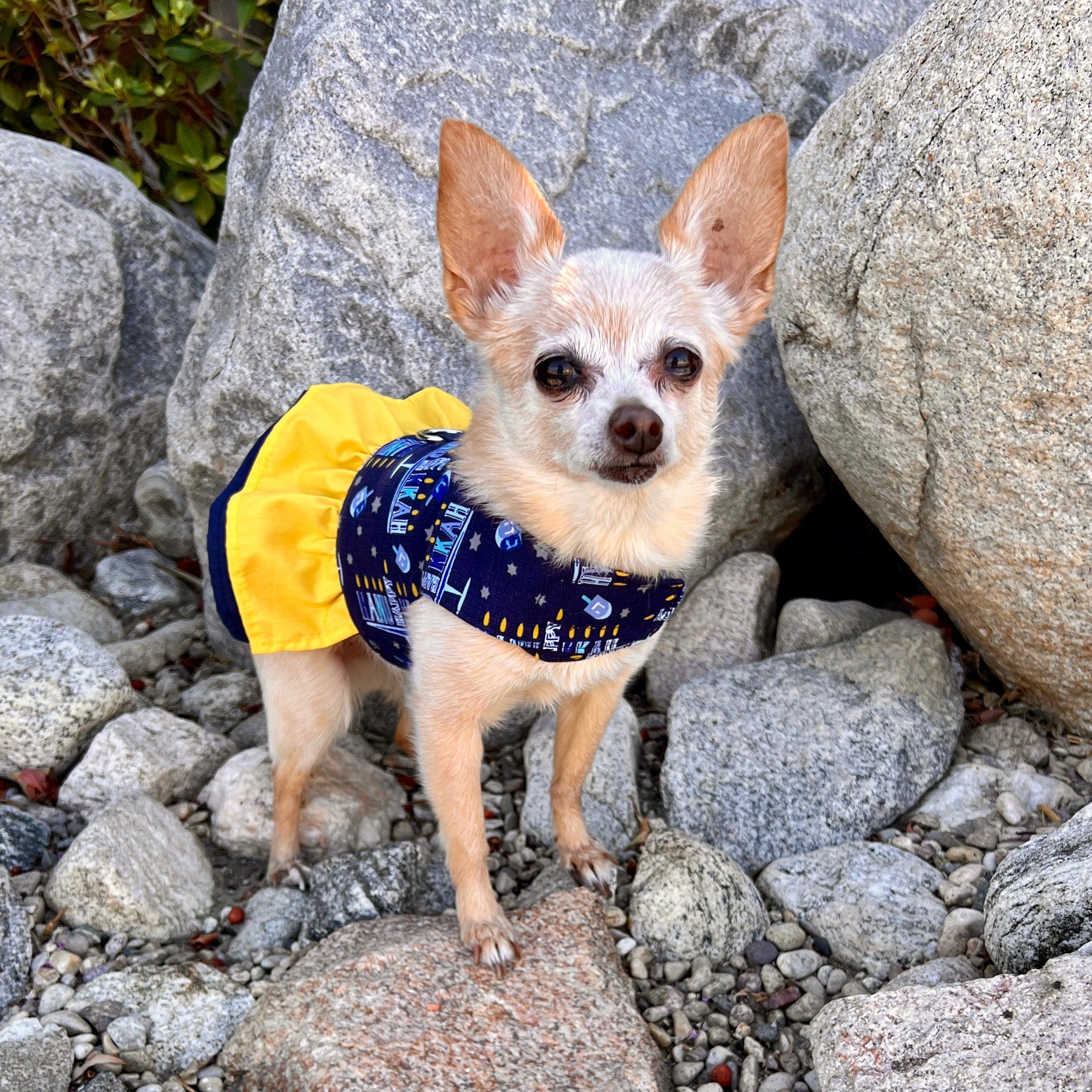 Hanukkah dog clearance costume